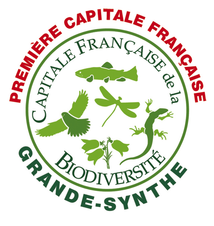 Logo Grande-Synthe Capitale biodiversité